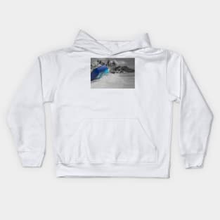 Crashed Kids Hoodie